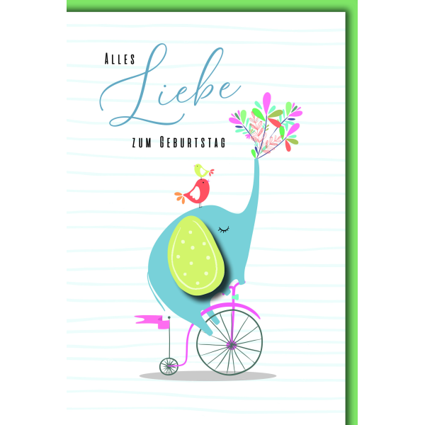 Geburtstag Elefant auf Fahrrad mit Blumen alles Liebe Glückwunschkarte mit Umschlag