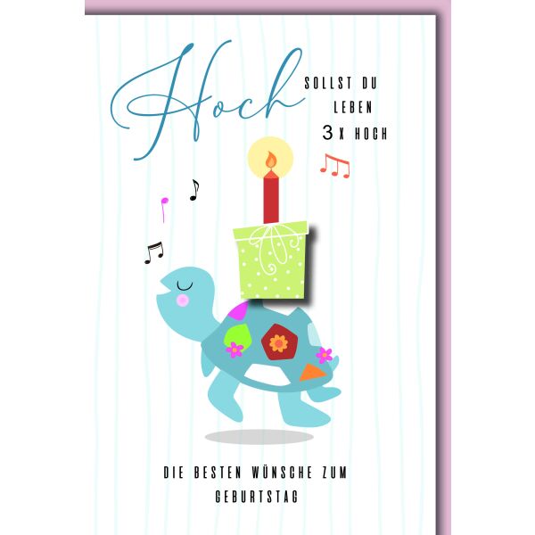 Geburtstag Schildkröte mit Geschenk Hoch sollst Du leben Glückwunschkarte mit Umschlag