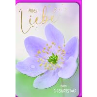 Geburtstag Blüte groß lila Alles Liebe...