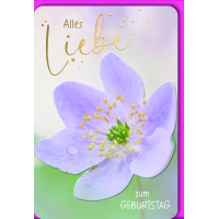 Geburtstag Blüte groß lila Alles Liebe...