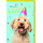 Geburtstag Hund mit Partyhütchen Heuet wird gefeiert Glückwunschkarte mit Umschlag