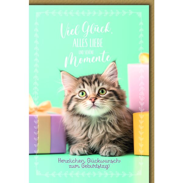 Geburtstag Katze zwischen Geschenken Glück Liebe schöne Momente Glückwunschkarte mit Umschlag