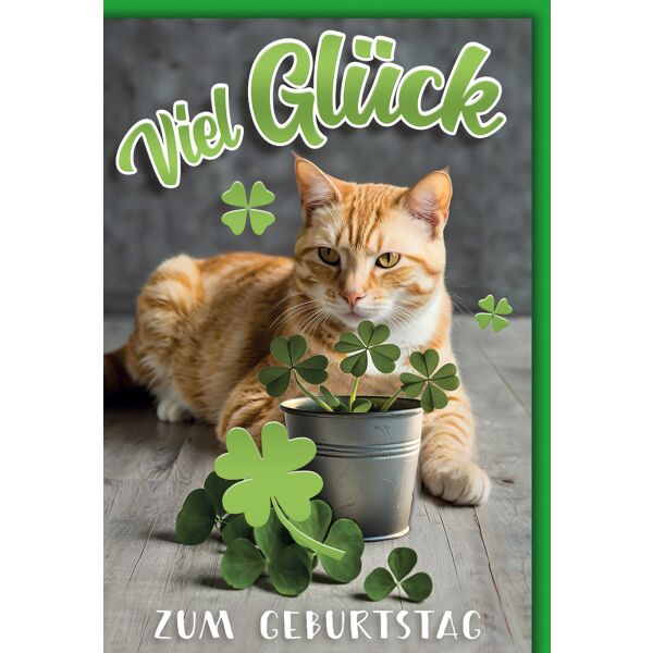 Geburtstag Katze mit Glücksklee viel Glück Glückwunschkarte mit Umschlag