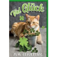 Geburtstag Katze mit Glücksklee viel Glück...