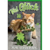 Geburtstag Katze mit Glücksklee viel Glück...