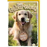 Geburtstag Golden Retriever Hund alles Gute...