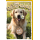 Geburtstag Golden Retriever Hund alles Gute Glückwunschkarte mit Umschlag