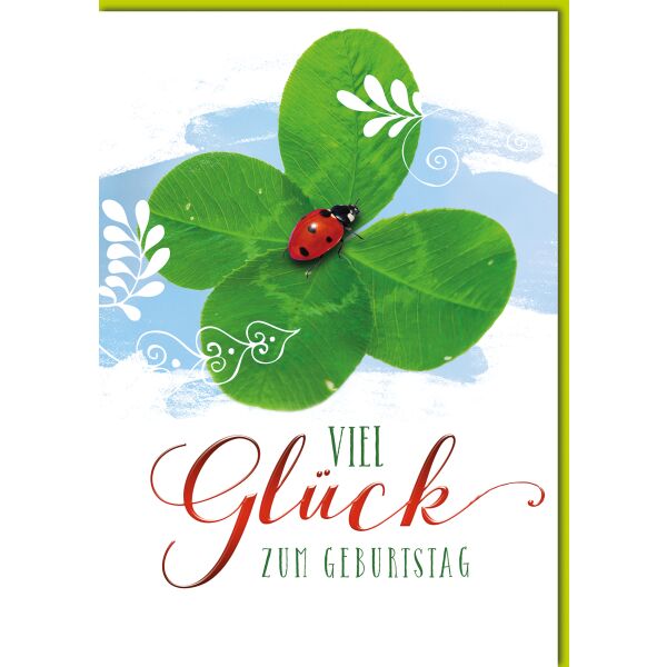 Geburtstag Käfer auf Glücksklee viel Glück Große DIN A4-Karte mit Umschlag XXL-Karte