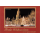 Weihnachten - Glückwunschkarte im Format 11,5 x 17 cm mit Briefumschlag - Städtekarte München