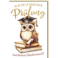 Prüfung Eule mit Auszeichnung geschafft alles Gute...