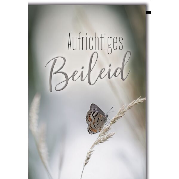 Trauer Aufrichtiges Beileid Schmetterling Kondolenz Beileidskarte mit Umschlag