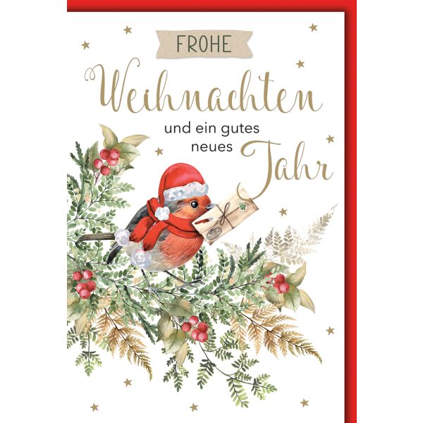 Weihnachten Vogel mit Weihnachtspost Glückwunschkarte mit Umschlag