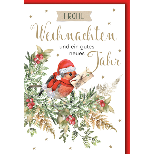 Weihnachten Vogel mit Weihnachtspost Glückwunschkarte mit Umschlag