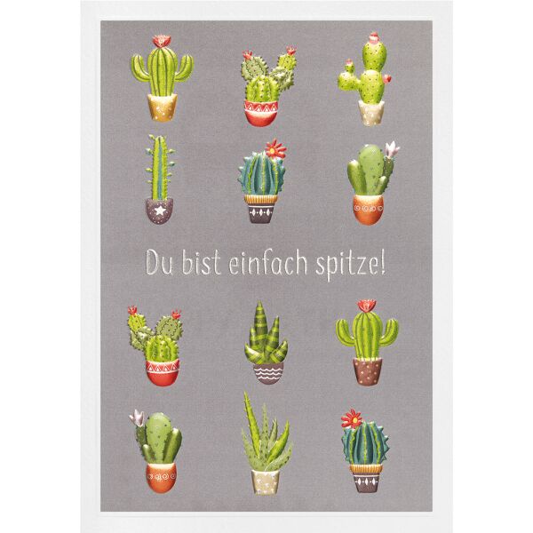 Allgemeine Wünsche Prisma Collection unverpackte Glückwunschkarte mit Briefumschlag Kakteen Du bist Spitze