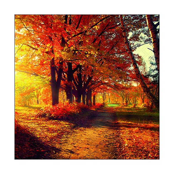 Herbst Servietten Lunch 33 x 33 cm 3-lagig 20 Servietten Autumn Park Herbst Park Trauer Wald