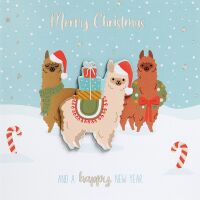 Weihnachten Feelings Collection unverpackte...