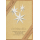 Weihnachten Nature Cards unverpackte Weihnachtskarten mit Briefumschlag Weihnachtsstern Mistelzweig Frohe Weihnachten