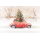 Weihnachten unverpackte Weihnachtskarten mit Briefumschlag rotes Auto mit Tannenbaum