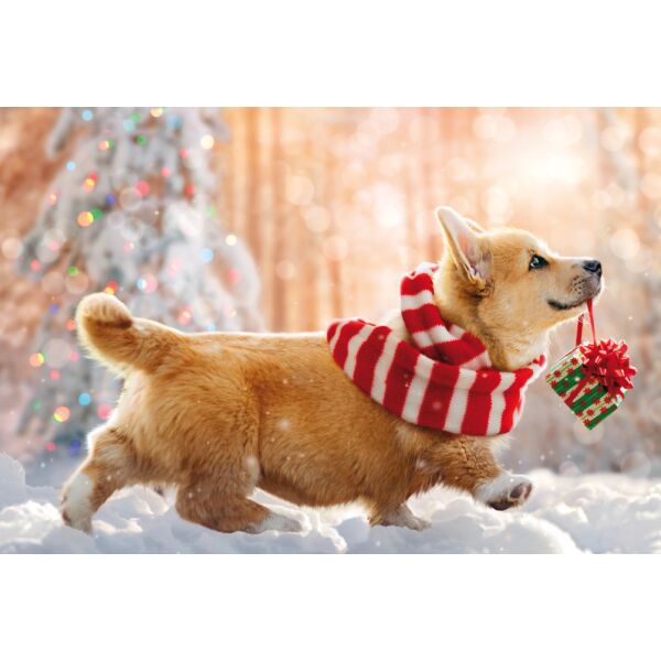 Weihnachten unverpackte Weihnachtskarten mit Briefumschlag Hund mit Geschenk Winterlandschaft