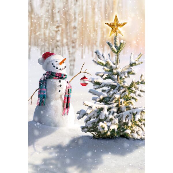 Weihnachten unverpackte Weihnachtskarten mit Briefumschlag Schneemann Tannenbaum Stern