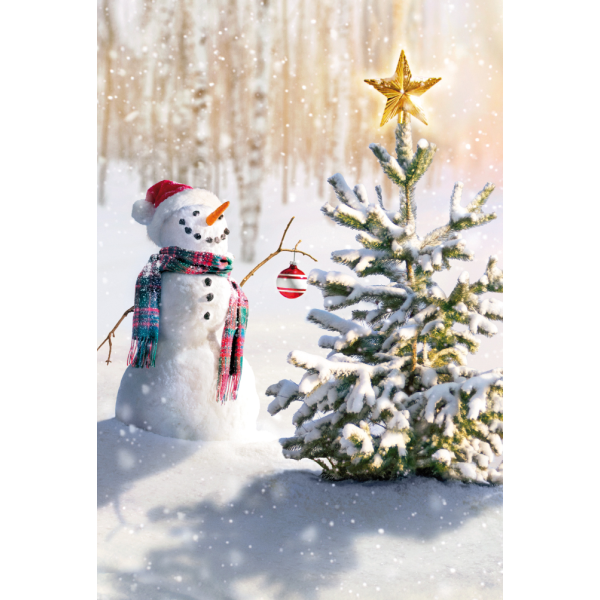 Weihnachten unverpackte Weihnachtskarten mit Briefumschlag Schneemann Tannenbaum Stern