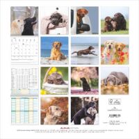 Kalender 2026 Labrador Retriever 30 x 30 cm