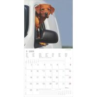 Kalender 2026 Labrador Retriever 30 x 30 cm