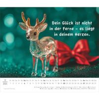 Kalender 2026 Der kleine Kalender zum Glücklichsein 14 x 12 cm