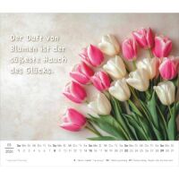 Kalender 2026 Der kleine Kalender zum Glücklichsein 14 x 12 cm