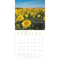 Kalender 2026 Augenblicke für Dich 30 x 30 cm