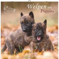 SALE Kalender 2026 Welpen 30 x 30 cm Puppies...