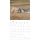 SALE Kalender 2026 Welpen 30 x 30 cm Puppies Hundewelpenkalender