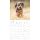 SALE Kalender 2026 Welpen 30 x 30 cm Puppies Hundewelpenkalender