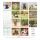 SALE Kalender 2026 Welpen 30 x 30 cm Puppies Hundewelpenkalender