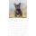 SALE Kalender 2026 Welpen 30 x 30 cm Puppies Hundewelpenkalender