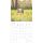 SALE Kalender 2026 Welpen 30 x 30 cm Puppies Hundewelpenkalender