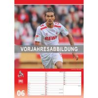 SALE Kalender 2026 1. FC Köln 30 x 42 cm Fußballkalender