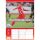 SALE Kalender 2026 1. FC Köln 30 x 42 cm Fußballkalender