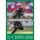 SALE Kalender 2026 SV Werder Bremen 30 x 42 cm Fußballkalender