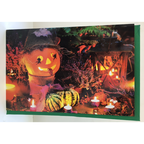Halloween Grußkarte ohne Text Blankokarte Glückwunschkarte für Halloween mit Briefumschlag