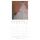 SALE Kalender 2026 Gustav Klimt 30 x 30 cm Kunstkalender