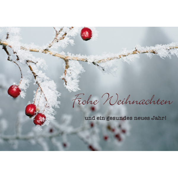 Weihnachten  unverpackte Weihnachtskarte mit Umschlag eingefrorener Kirschbaum Frohe Weihnachten