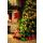 Weihnachten Fotokarte Weihnachtskarte mit Briefumschlag Tannenbaum Kamin Geschenke