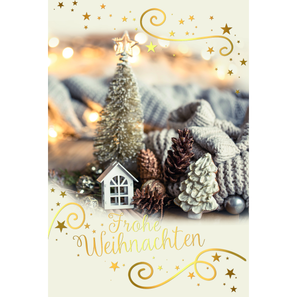 Weihnachten Weihnachtskarte mit Briefumschlag Tannenzapfen Decke Frohe Weihnachten