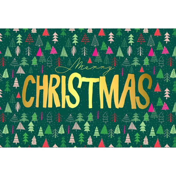 Weihnachten Weihnachtskarte mit Briefumschlag verschiedene Tannenbäume Merry Christmas