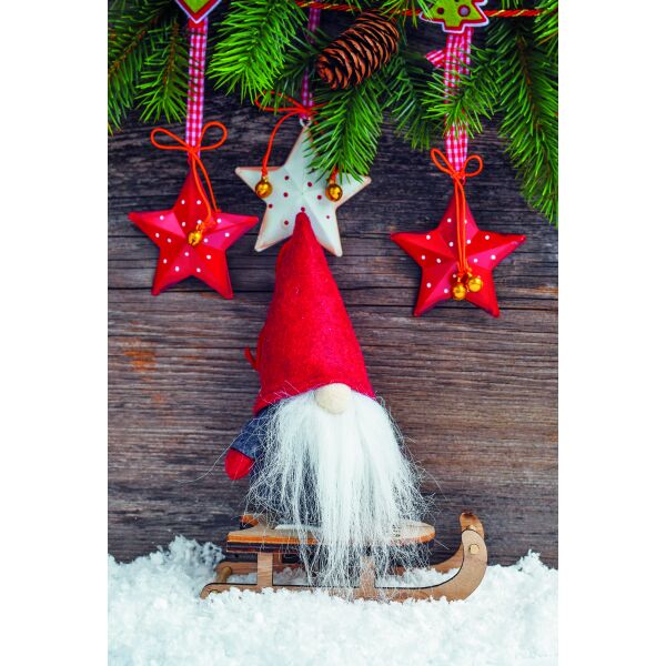 Weihnachten Fotokarte Weihnachtskarte mit Briefumschlag Wichtel auf Schlitten