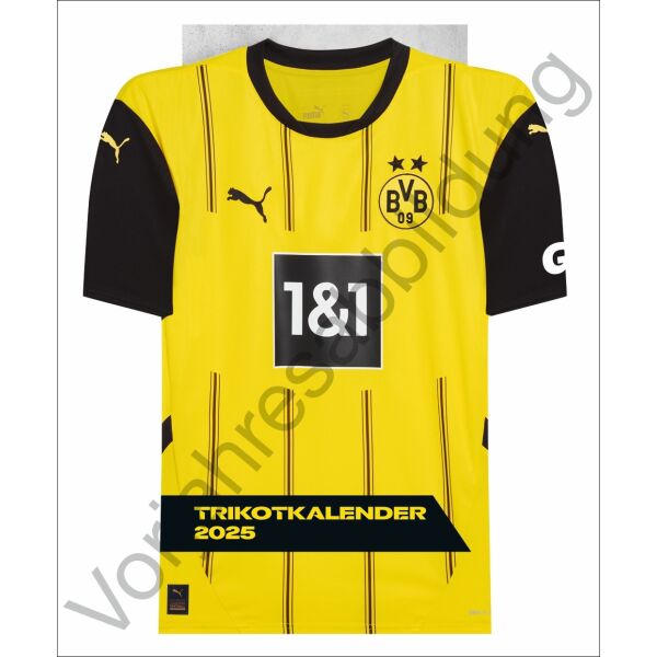 Kalender 2026 - BVB Trikotkalender