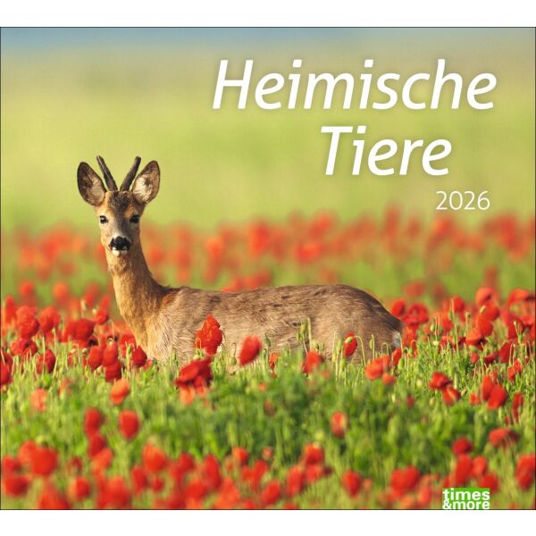 Kalender 2026 - tm Heimische Tiere Bildkalender