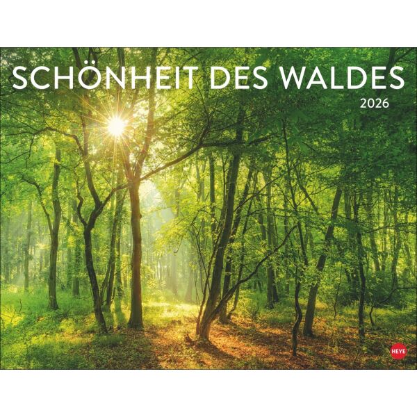Kalender 2026 - Schönheit des Waldes Posterkalender