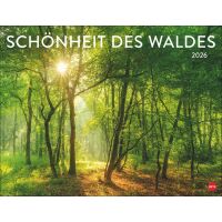 Kalender 2026 - Schönheit des Waldes Posterkalender